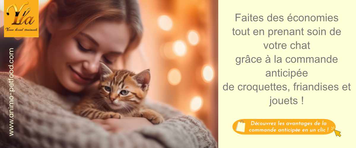 economies-croquettes-jouets-friandises-pour-chat